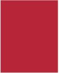 Bringmann Folia Paper Dekorkarton 2 oldalas 50x70cm 220g 10 lap tűzpiros FL61221020 (FL61221020)
