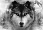 DEGRETS Tapéta DEGRETS 83498 Wolf 184x254cm (10147P4)