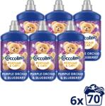 Coccolino Purple Orchid & Blueberry 6×1, 610 l (70 mosás) (6x8720181930577)