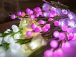  EUROPALMS Arum set, 3 branches with LEDs, pink 85cm (83330304)