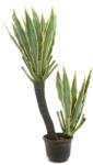  EUROPALMS Orchid-Cactus, artificial plant, 160cm (82809035)