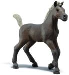 Schleich Colt Darcy de colecție Figurina