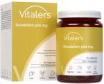 Vitaler's Extract de păpădie 500 mg - 60 capsule