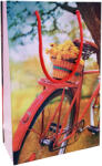 Paper Craft SET 10 pungi cadou medii BICICLETA