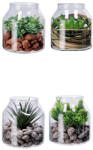 AdTrend Set 4 plante suculente artificiale in borcan 14 x 16 cm (114092)