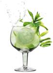 Vin Bouquet Форма за ледени топчета GIN TONIC от Vin Bouquet (VBFIK013)