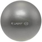 Lifefit® Mingea OVERBALL LIFEFIT® 25cm, argintie Minge fitness