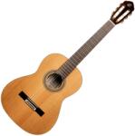 Ortega Guitars R20gwn - hangszerker