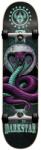 Darkstar Snake komplett gördeszka (8.0) (10512201-AQUA-8)