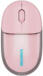 CANYON CASW24P