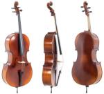 Gewa Cello Allegro, 4/4, Set up includes bag, Larsen Aurora Strings