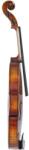 GEWA Violin Maestro 2, 1/2, Not ready to play, pre-adjusted bridge, incl. shaped case