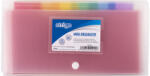 STRIGO Mapa plic cu capsa DL, Strigo SF029, 6 compartimente colorate, Transparent (SF029)