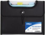 STRIGO Mapa Strigo SF042 Plastic Extensibil, A5, 6 Compartimente, Negru (SF042)