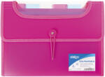 STRIGO Mapa Strigo SF032 Plastic Extensibil, A4, 6 Compartimente, Roz (SF032)