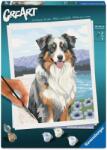 Ravensburger Set de pictat după numere Ravensburger CreArt - Ciobănesc australian (12023114)