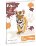 Ars Una Füzet II. Osztályos Bátor Mancsok Tigris (5501) 25 (AU53595010)