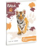 Ars Una Füzet III. Osztályos Bátor Mancsok Tigris (5501) 25 (AU53605016)