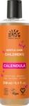 Urtekram Calendula Children's sampon - 250 ml