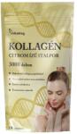 Vitaking Hydrolysed Beef Collagen (330 g, Lemon)