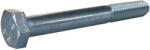 MagaziaLuCostica Surub cap hexagonal M8x70 8.8 (09318870S)