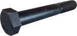 MagaziaLuCostica Surub cap hexagonal M18x120 10.9 (0931918120S)