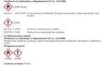 Granit Spray vopsea acrilica utilaje Rabe - albastru (27077052)