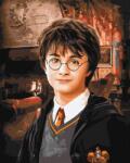 Ideyka Pictură după numere - Harry Potter ©Warner Bros. 40 x 50 cm Carte de colorat