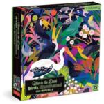 Mudpuppy Puzzle Păsări - strălucesc în întuneric 500 piese Puzzle