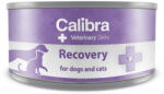 Calibra Veterinary Diets Recovery 100 g