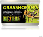 Hagen PT1950 Grasshoppers - speciális szöcske konzerv hüllőeledel 34g - pegazusallatpatika