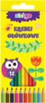 STRIGO Creioane colorate Strigo SSC001, triunghiulare, 12 culori (SSC001)
