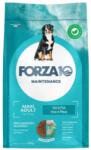 FORZA10 Maintenance Adult Maxi Fish halakkal nagytestű kutyafajták számára 12 kg