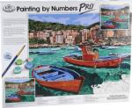 Royal & Langnickel Picturi pe numere Lagoon (PBN-PRO1) Carte de colorat