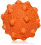 Explorer Dog AirBall Tips 8 cm