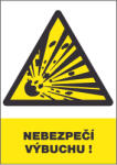 ČERVA EXPORT IMPORT a. s CERVA 12308 T. / Предпазен знак "ОПАСНОСТ ОТ ЕКСПЛОЗИЯ! " - 30x21 см (9903000199999)