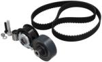 KAMOKA Set curea de distributie KAMOKA 7001049 (7001049)