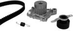 METELLI Set pompa apa + curea dintata METELLI 30-0669-1 (30-0669-1)