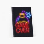 Empikfoto. ro Tablou, Gaming: Game over I, 30x40 cm - 82003