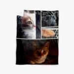 Empikfoto. ro Pătură Kitten, XL, 152x205 cm - 106134 Patura