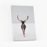 Empikfoto. ro Tablou, Crăciun: Renifer 1, 50x70 cm - 102978