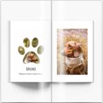 Empikfoto. ro Animalutele mele fotocarte, 20x30 cm - 130452