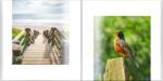 Empikfoto. ro Proiectul tau din vacanță fotocarte, 20x20 cm - 135342