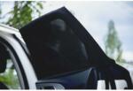 Tuloko Set 2 parasolare laterale-spate 50 x 58-95 cm Tuloko TL015 (cv-TL015_Negru)