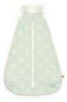 Ergobaby Sac de dormit 2 in 1, On The Move, Starry Mint, 6-18 LUNI, 0.5TOG, Ergobaby (SLBMDSTRMNT5)