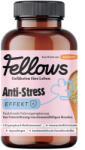 Fellows Супер добавка срещу стрес за кучета с валериана Fellows Anti-Stress 200gr