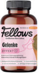 Fellows Супер добавка за стави за кучета със зеленоуста мида Fellows Joints 200gr