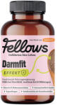 Fellows Супер добавка за храносмилане за кучета с протеин от насекоми Fellows Darmfit 200gr
