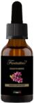 FANTASTICO Esenta parfumata FANTASTICO Fantastico Rosso fructe rosii 20ml