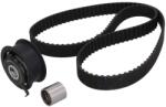 KAMOKA Set curea de distributie KAMOKA 7001018 (7001018)